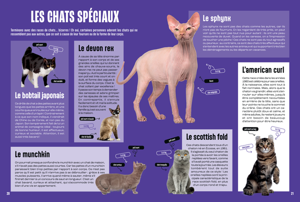 Les Chats - Mille et un docs