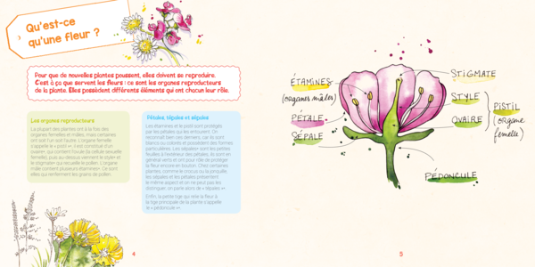 Je découvre les fleurs