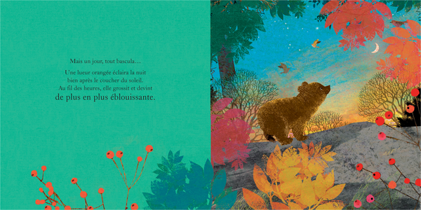 Un abri pour Petit Ours