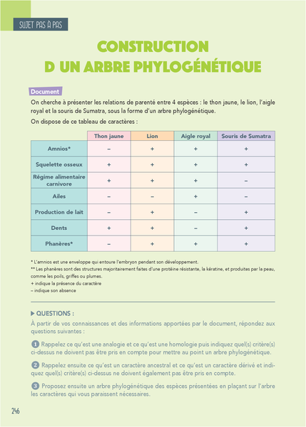 Bac assuré - Tronc commun - Terminale