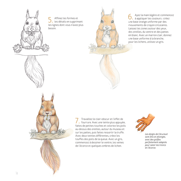 Dessiner les animaux, du croquis à la mise en couleur
