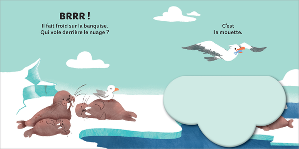 La banquise - Mes petits coucous