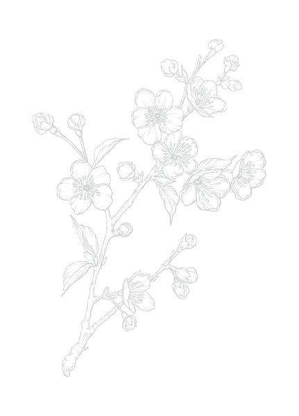 Coffret - Évasion florale - 30 illustrations à peindre à l'aquarelle