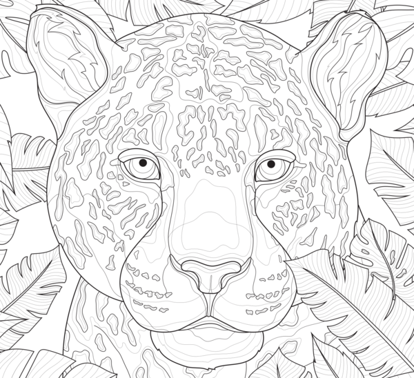 Instant coloriage - Animaux sauvages