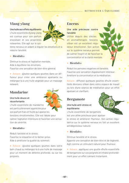 Mon grand guide de la naturopathie