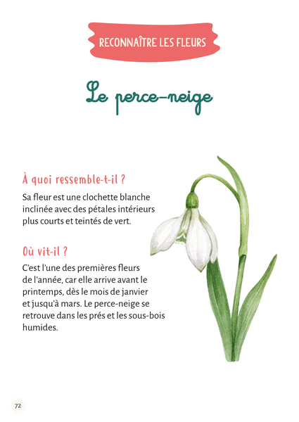 Mon premier herbier Fleurs et feuilles