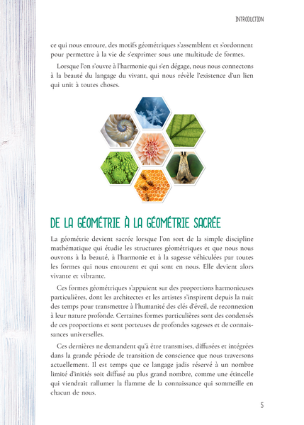 Le Petit Guide de la géométrie sacrée