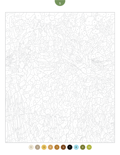 Coloriages mystères - Animaux sauvages