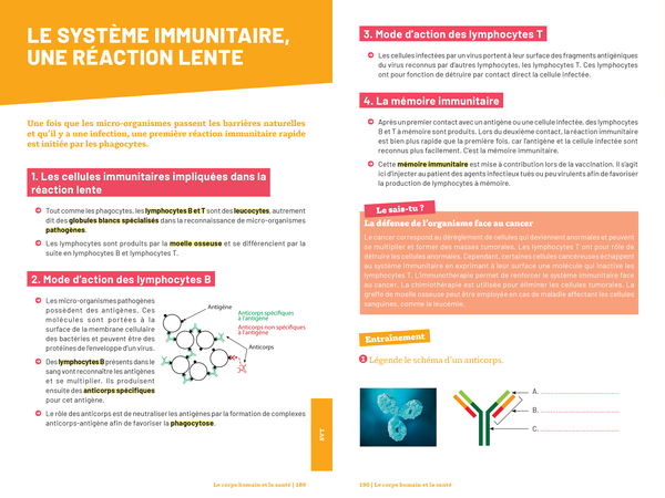 Savoirs fondamentaux 3e - Toutes les matières