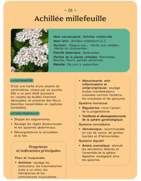 Coffret - Plantes médicinales