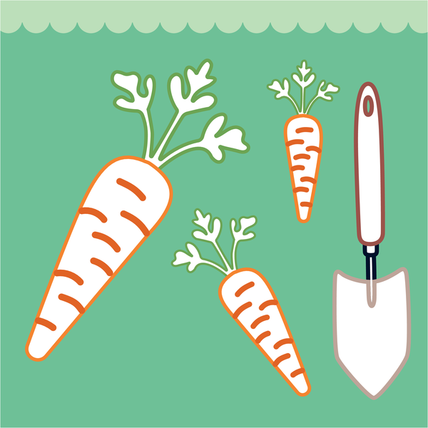 Mon beau potager à colorier sans dépasser