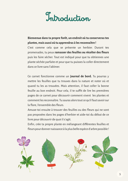 Mon premier herbier Fleurs et feuilles