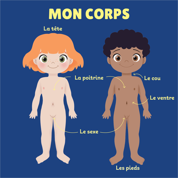 Mon tout premier imagier du corps humain