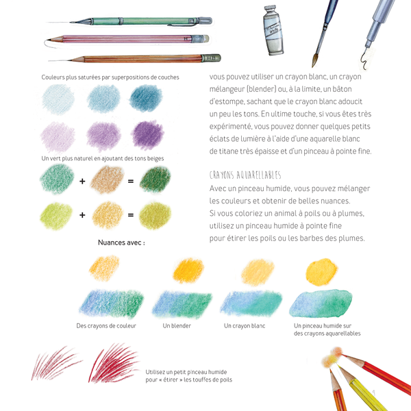 Dessiner les animaux, du croquis à la mise en couleur