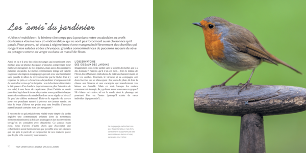 Le guide amoureux des oiseaux du jardin et des grands espaces