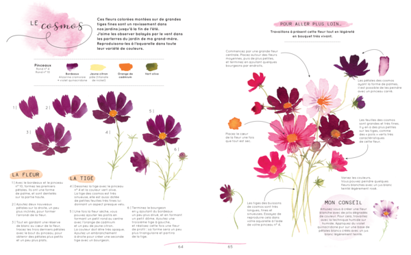 Fleurs et végétaux à l'aquarelle