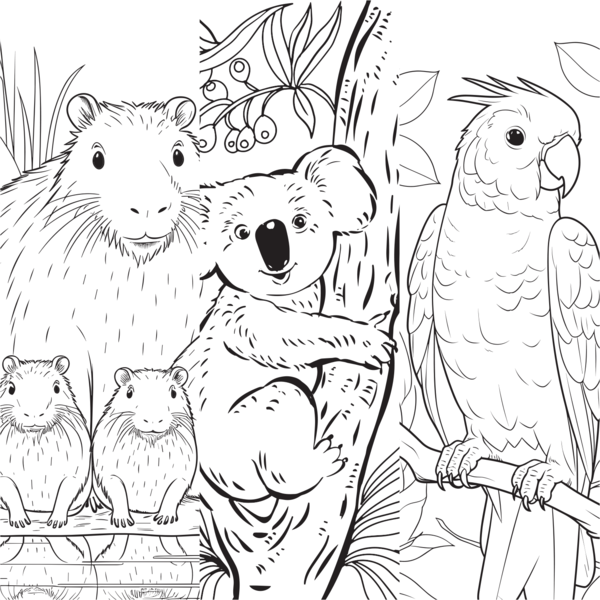 Instant coloriage - Animaux sauvages