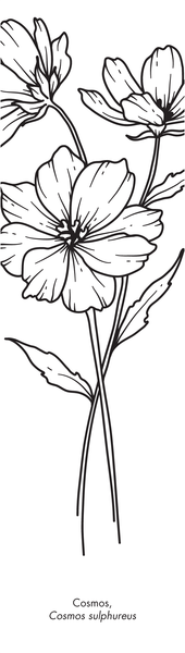 Marque-pages - Botanica