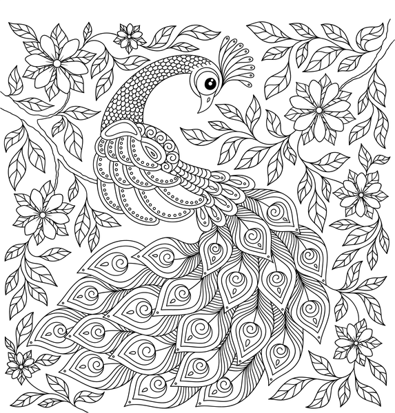 Merveilleuse nature - Coloriages pour me détendre