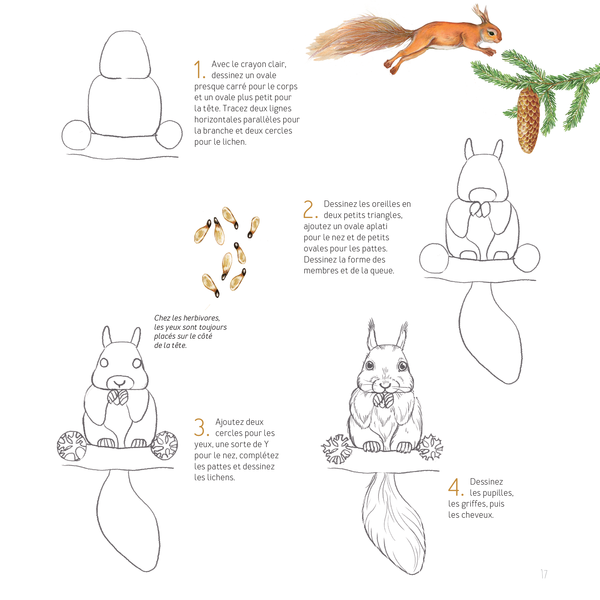 Dessiner les animaux, du croquis à la mise en couleur