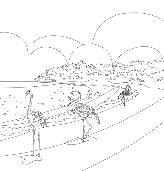 Le Sud - Coloriages pour me détendre