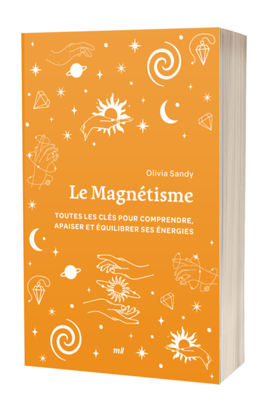 Le Magnétisme (format poche)
