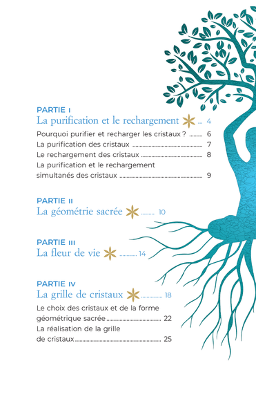 Mon coffret Fleur de vie : L'art de recharger les pierres