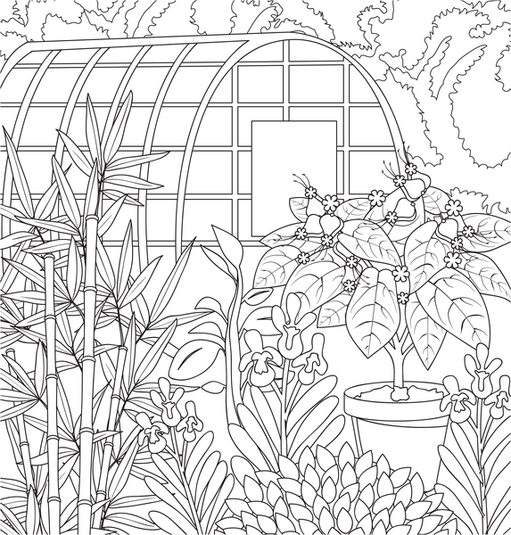 Jardins rêvés - Version Collector - Coloriages pour me détendre