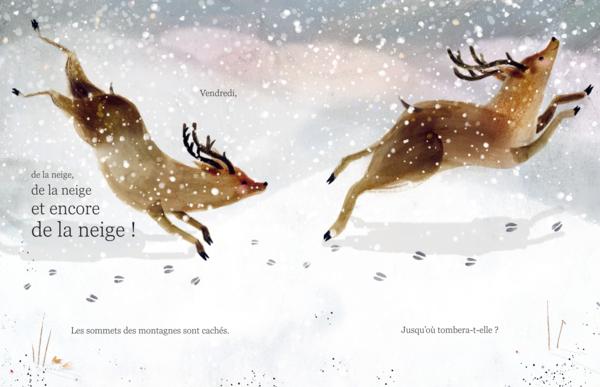 Toute cette neige !