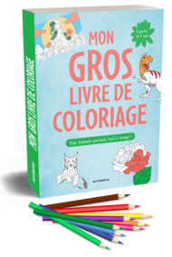 Mon gros livre