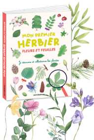 Mon premier herbier