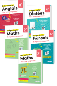 Prof particulier