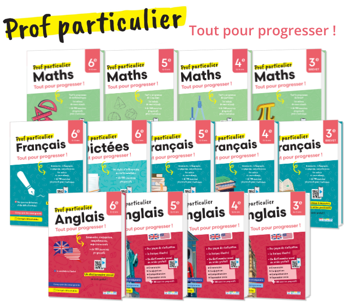 Prof Particulier